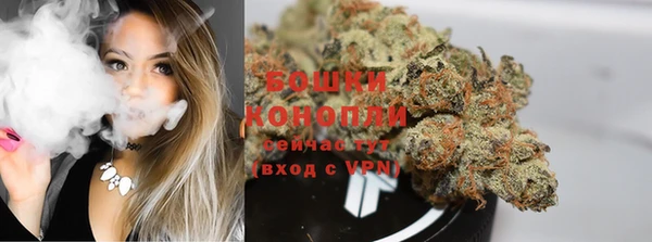 стафф Ачинск