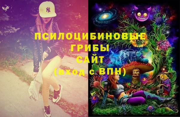 индика Магадан