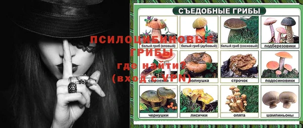 индика Бердск