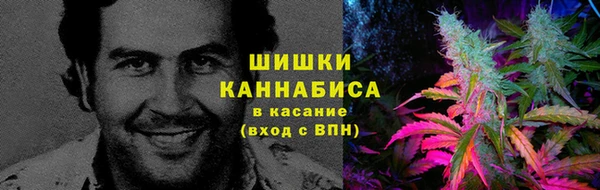 дурь Магас