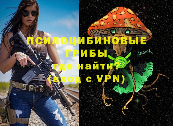 индика Магадан