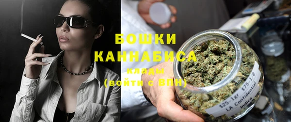 дурь Магас