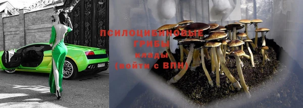 спиды Майский